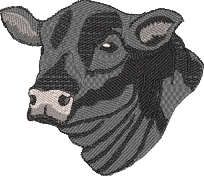 Aberdeen Angus Head