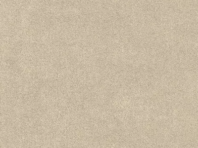 Stone Suede