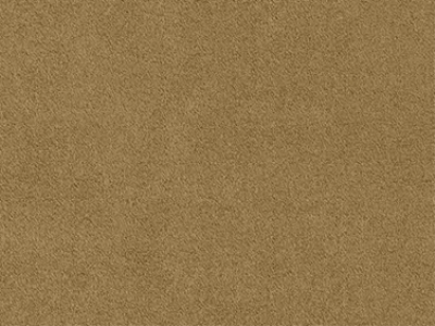 Sahara Suede